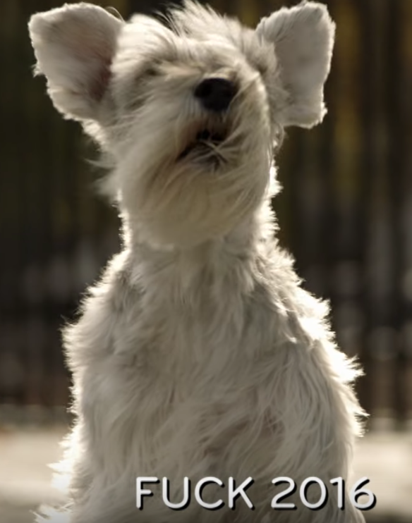 screen-shot-2016-11-30-at-8-46-40-am